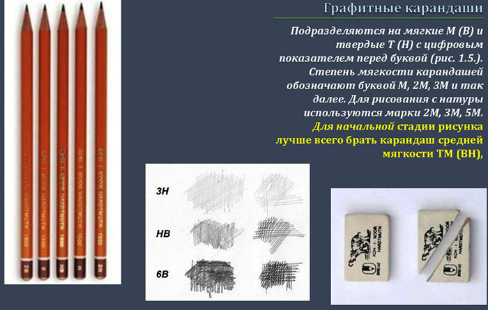 Zeichnung eines Hirsches mit Bleistift für Kinder: Farbe, Schwarzweiß: Norden, Neujahr, geometrisch, Wald