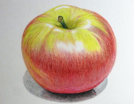 Apfel zeichnen für Kinder. Wie man Schritt für Schritt mit einem Bleistift in Schwarzweiß und Farbe zeichnet
