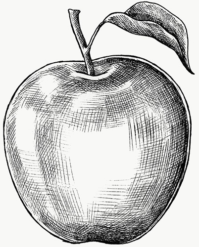 Apfel zeichnen für Kinder. Wie man Schritt für Schritt mit einem Bleistift in Schwarzweiß und Farbe zeichnet