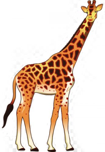 Giraffenzeichnung für Kinder mit Bleistift, schön für Anfänger