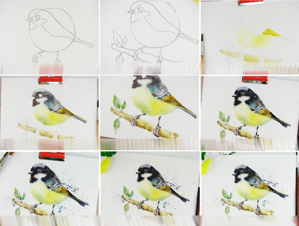 Zeichnen einer Meise für Kinder mit Bleistift, Aquarell, Farbe