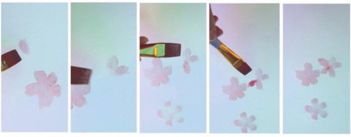 Zeichnung eines Sakura-Zweiges mit Bleistift, Farben, Gouache, Aquarellen für Kinder