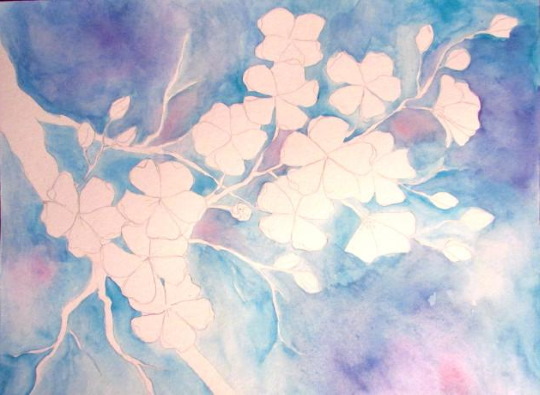 Zeichnung eines Sakura-Zweiges mit Bleistift, Farben, Gouache, Aquarellen für Kinder