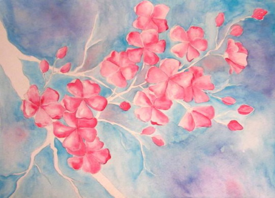 Zeichnung eines Sakura-Zweiges mit Bleistift, Farben, Gouache, Aquarellen für Kinder
