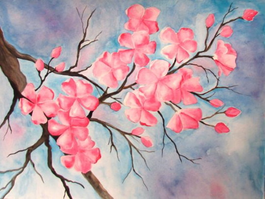 Zeichnung eines Sakura-Zweiges mit Bleistift, Farben, Gouache, Aquarellen für Kinder