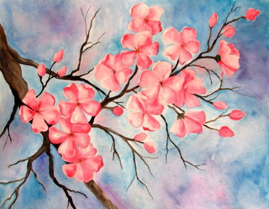Zeichnung eines Sakura-Zweiges mit Bleistift, Farben, Gouache, Aquarellen für Kinder