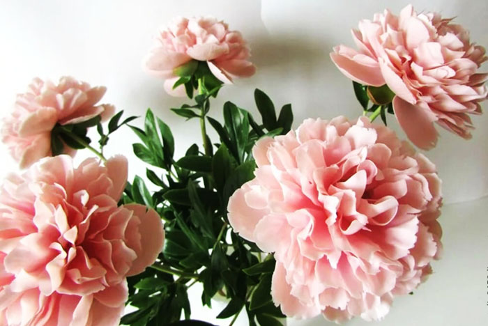 Blumen aus Polymer Clay mit eigenen Händen Schritt für Schritt mit Fotos für Anfänger