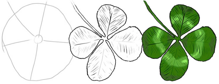 Trifoglio, fiore a quattro foglie, disegno a matita, acquerello
