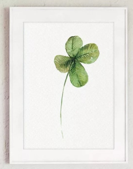 Trifoglio, fiore a quattro foglie, disegno a matita, acquerello