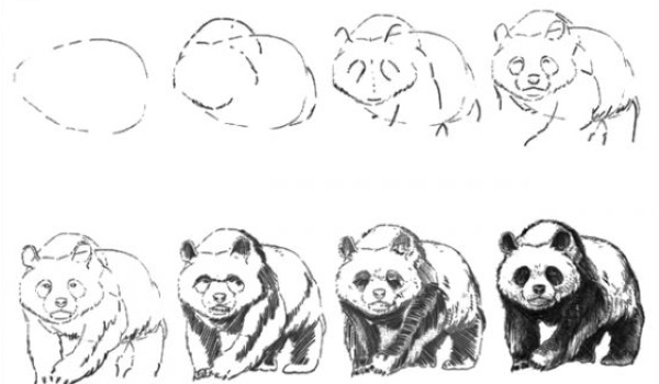 Panda-Zeichnung für Kinder mit Bleistift, Farben, leicht zu kopieren