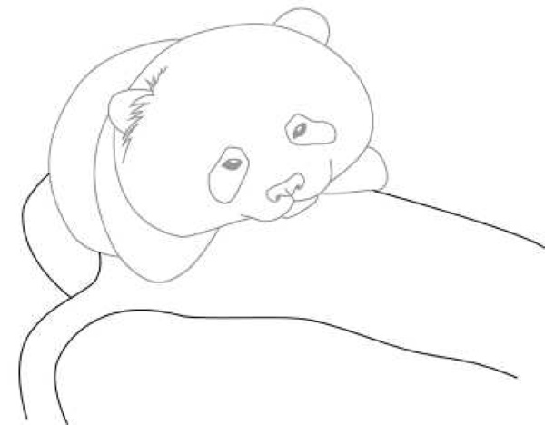 Panda-Zeichnung für Kinder mit Bleistift, Farben, leicht zu kopieren