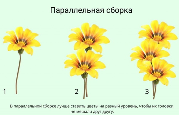 So machen Sie Schritt für Schritt einen Blumenstrauß mit Ihren eigenen Händen