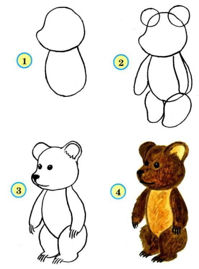 Teddybär zeichnen für Kinder mit Bleistift Schritt für Schritt