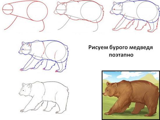 Teddybär zeichnen für Kinder mit Bleistift Schritt für Schritt