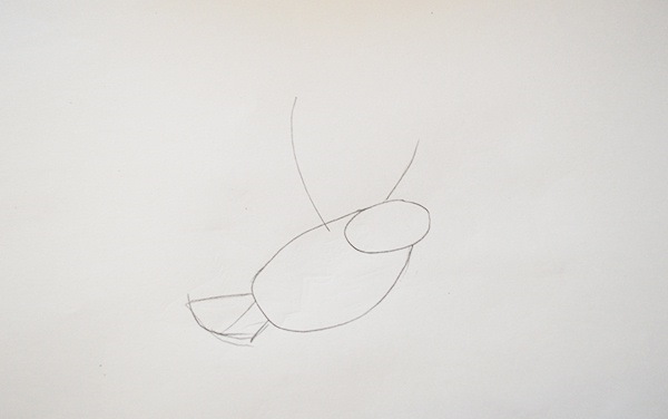 Meise zeichnen für Kinder mit Bleistift, malen Schritt für Schritt