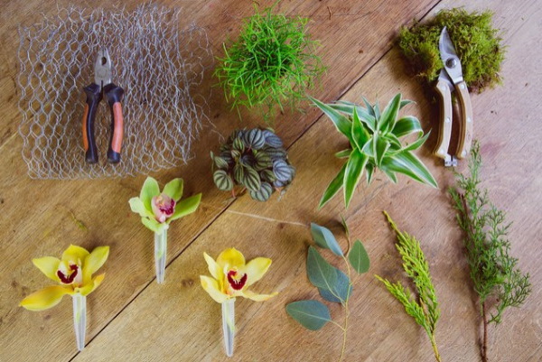 Fiori conservati. Che cosa sono, foto, composizioni