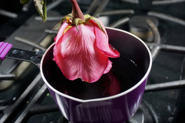 Fiori conservati. Che cosa sono, foto, composizioni