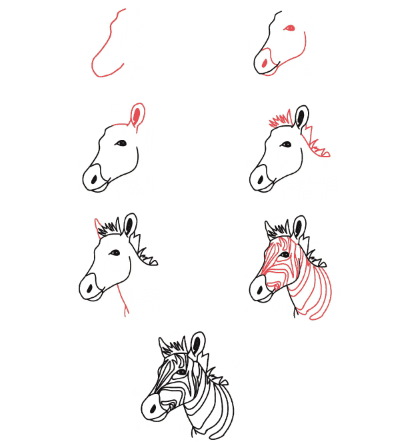 Zebra-Bleistiftzeichnung für Kinder. Wie man Schritt für Schritt zeichnet