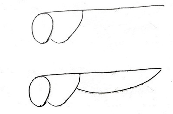 Heuschreckenzeichnung für Kinder mit Bleistift Schritt für Schritt