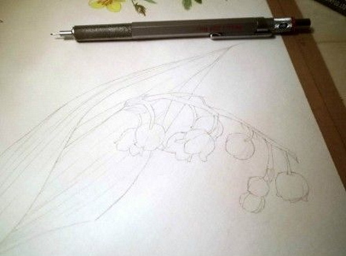 Maiglöckchen zeichnen für Kinder mit Bleistift, malen Schritt für Schritt