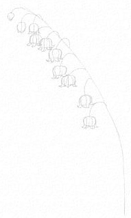 Maiglöckchen zeichnen für Kinder mit Bleistift, malen Schritt für Schritt