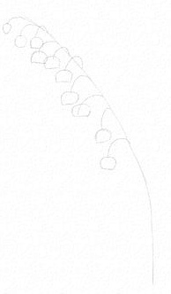 Maiglöckchen zeichnen für Kinder mit Bleistift, malen Schritt für Schritt