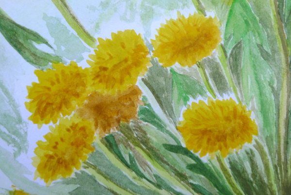 Löwenzahnzeichnung für Kinder mit Bleistift, Farben