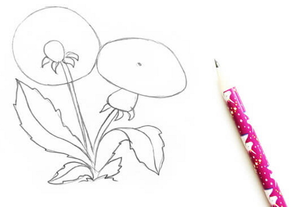 Löwenzahnzeichnung für Kinder mit Bleistift, Farben