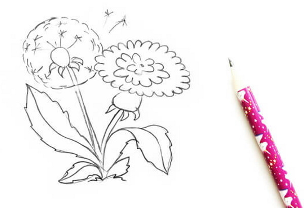 Löwenzahnzeichnung für Kinder mit Bleistift, Farben