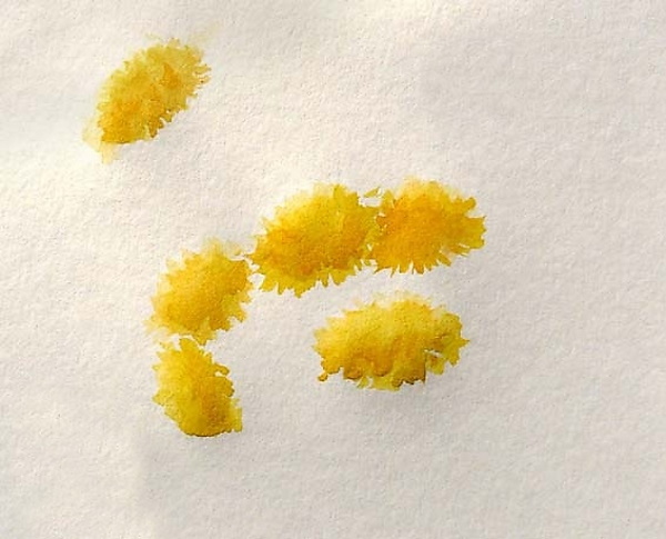 Löwenzahnzeichnung für Kinder mit Bleistift, Farben