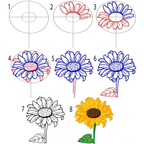 Sonnenblumenzeichnung für Kinder mit Bleistift, Farben