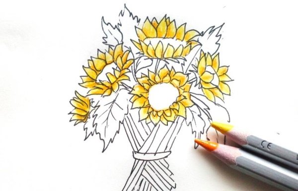 Sonnenblumenzeichnung für Kinder mit Bleistift, Farben