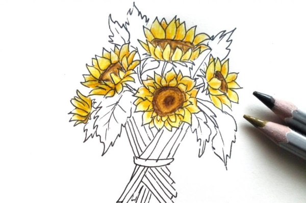 Sonnenblumenzeichnung für Kinder mit Bleistift, Farben
