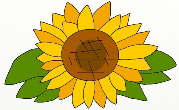 Sonnenblumenzeichnung für Kinder mit Bleistift, Farben