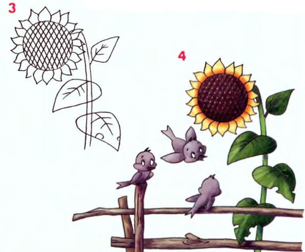 Sonnenblumenzeichnung für Kinder mit Bleistift, Farben