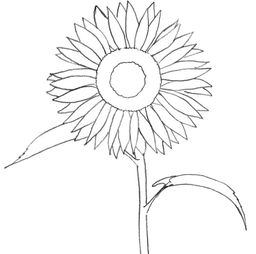 Sonnenblumenzeichnung für Kinder mit Bleistift, Farben