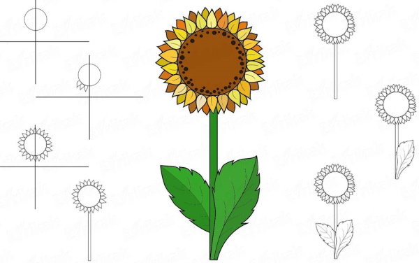 Sonnenblumenzeichnung für Kinder mit Bleistift, Farben