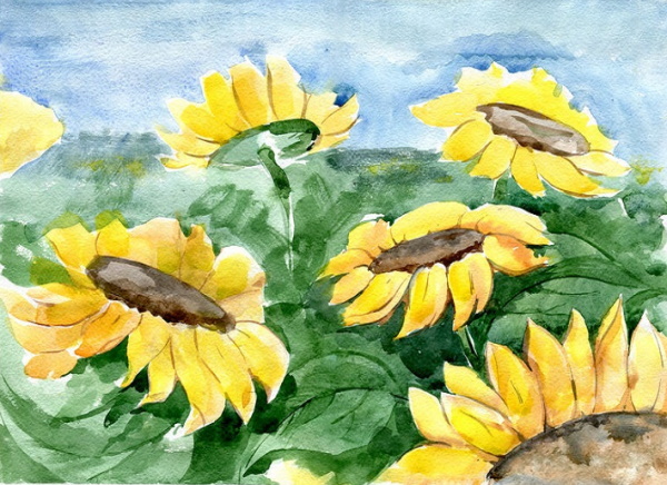Sonnenblumenzeichnung für Kinder mit Bleistift, Farben