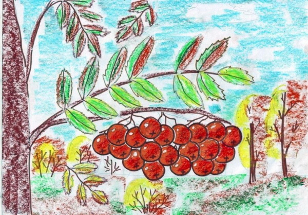 Ebereschenzweig zeichnen für Kinder Schritt für Schritt