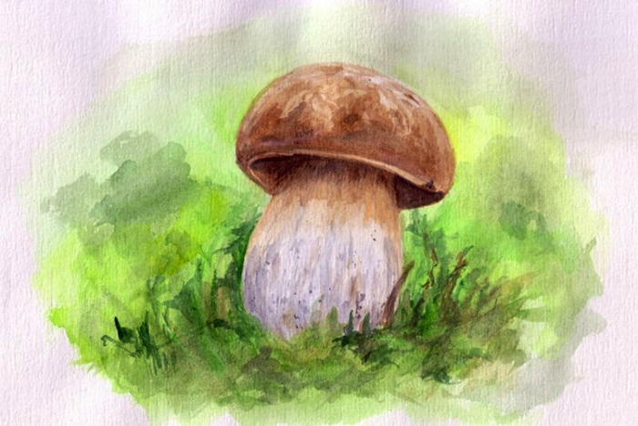 Weißer Pilz Zeichnung für Kinder in Bleistift