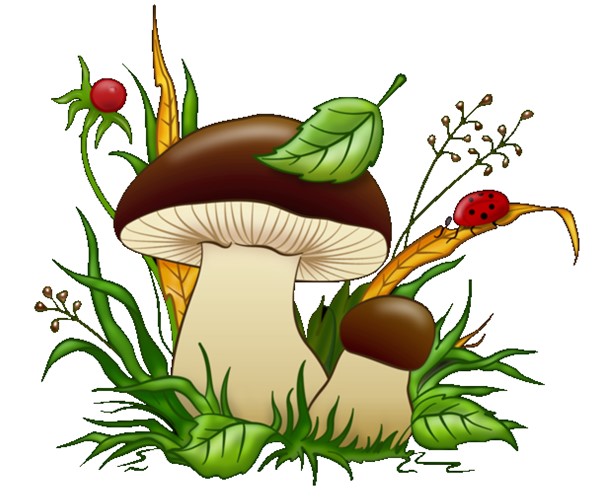 Weißer Pilz Zeichnung für Kinder in Bleistift
