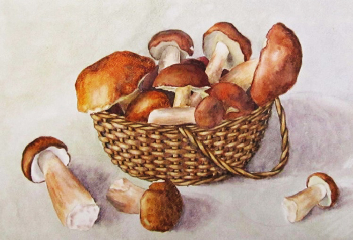 Weißer Pilz Zeichnung für Kinder in Bleistift