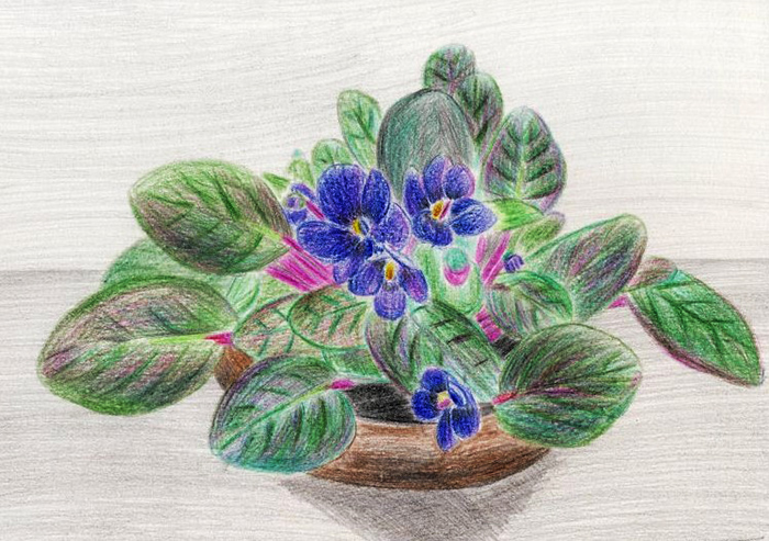 Violets drawing for children with paints, pencil