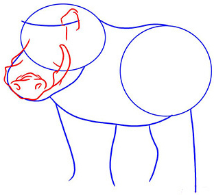 Wildschweinzeichnung für Kinder mit Bleistift, Farben
