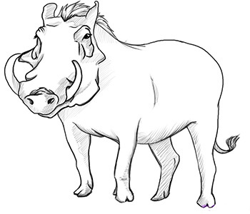 Wildschweinzeichnung für Kinder mit Bleistift, Farben