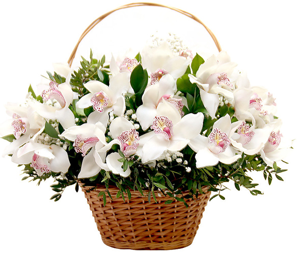 Wunderschöne Sträuße aus frischen Blumen. Foto von Rosen, Lilien, Orchideen. Wie macht man