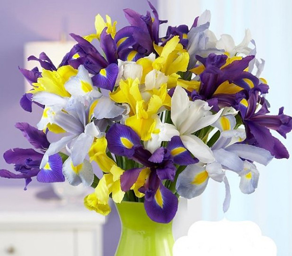 Wunderschöne Sträuße aus frischen Blumen. Foto von Rosen, Lilien, Orchideen. Wie macht man