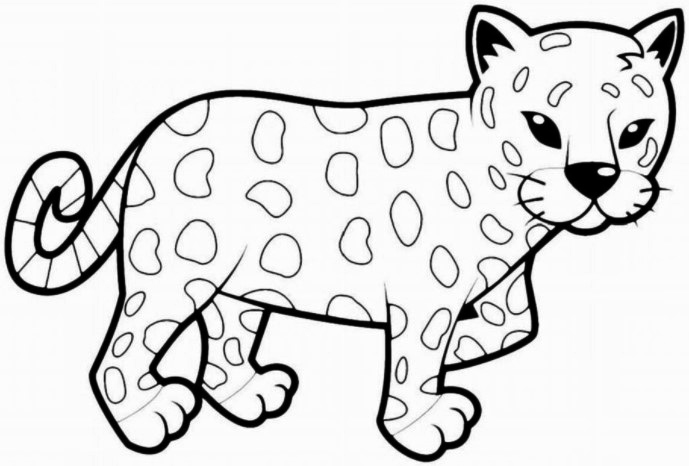 Leopardenzeichnung für Kinder mit Bleistift Schritt für Schritt