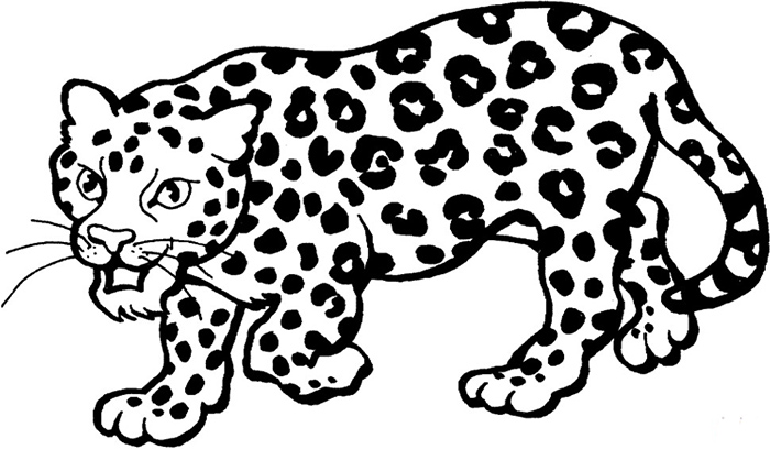 Leopardenzeichnung für Kinder mit Bleistift Schritt für Schritt