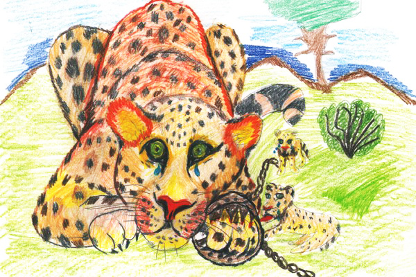 Leopardenzeichnung für Kinder mit Bleistift Schritt für Schritt